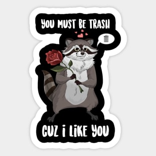 You Must Be trash Cuz I Like You Raccoon Sticker